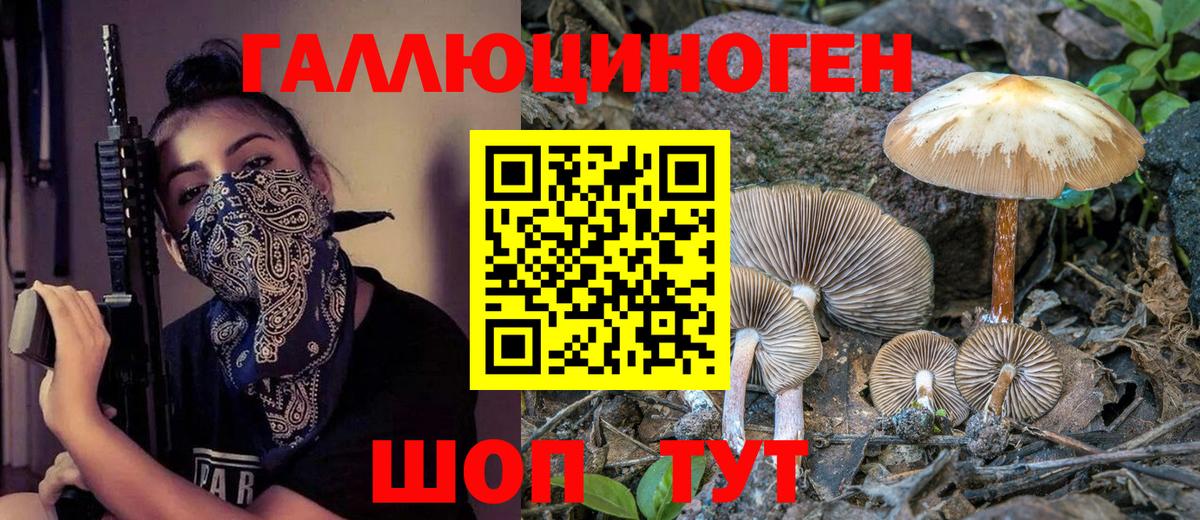 Углич  Галлюциногенные грибы GOLDEN TEACHER  Вход с VPN 